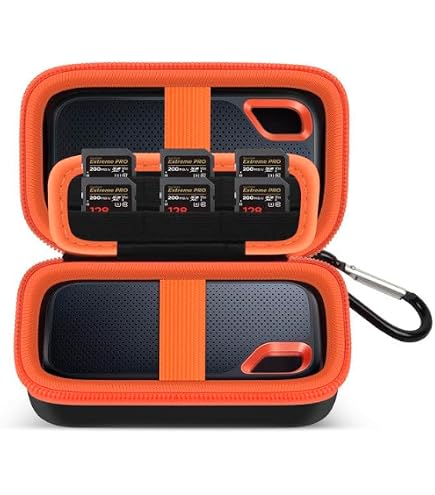 Amazon.com: Hermitshell Hard Travel Case for SanDisk 1TB 2TB 4TB